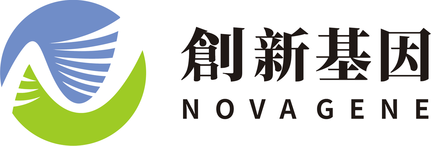 關於2020年重陽節放假安排的通知